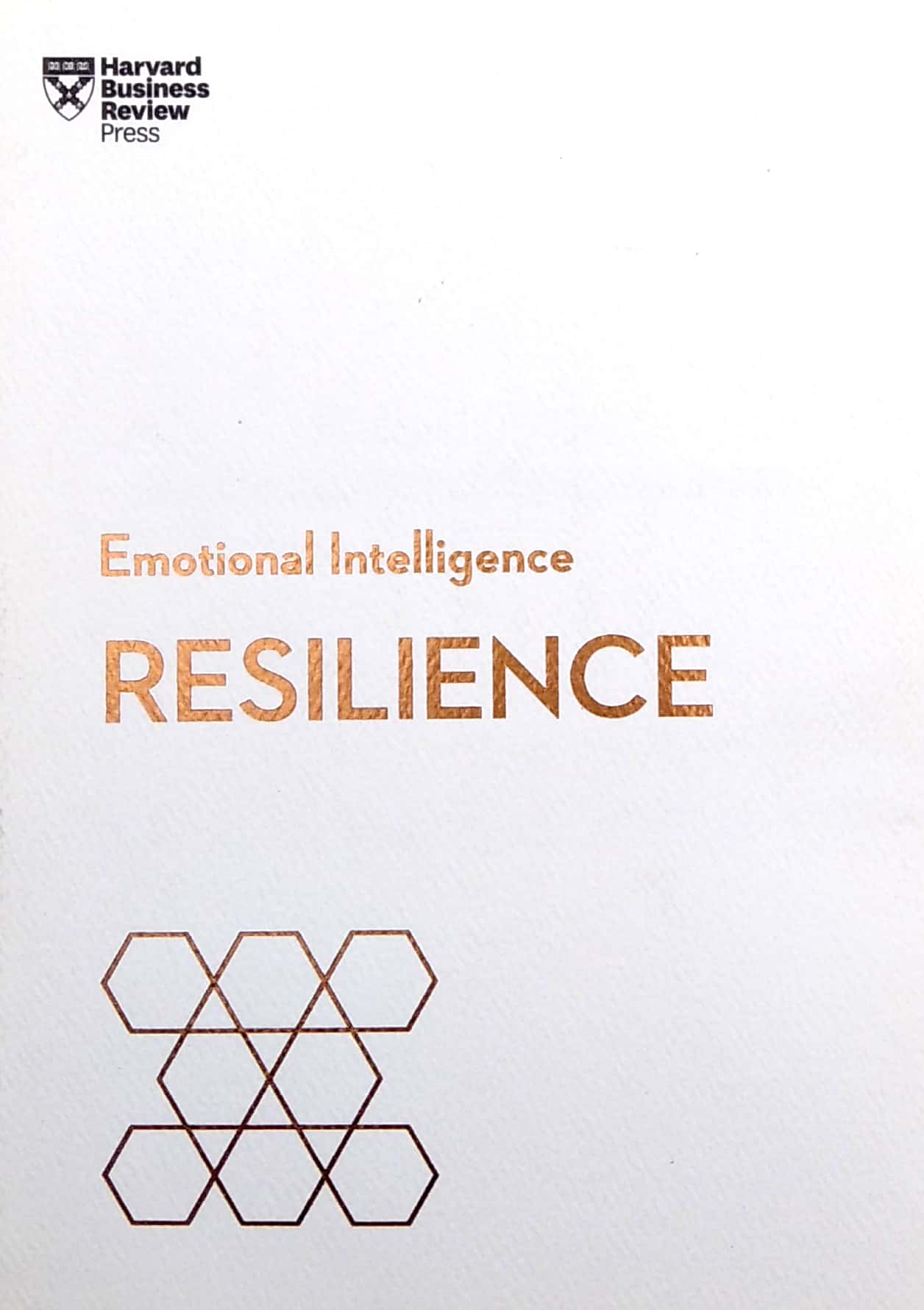 resilience (hbr emotional intelligence series) - Ảnh 2