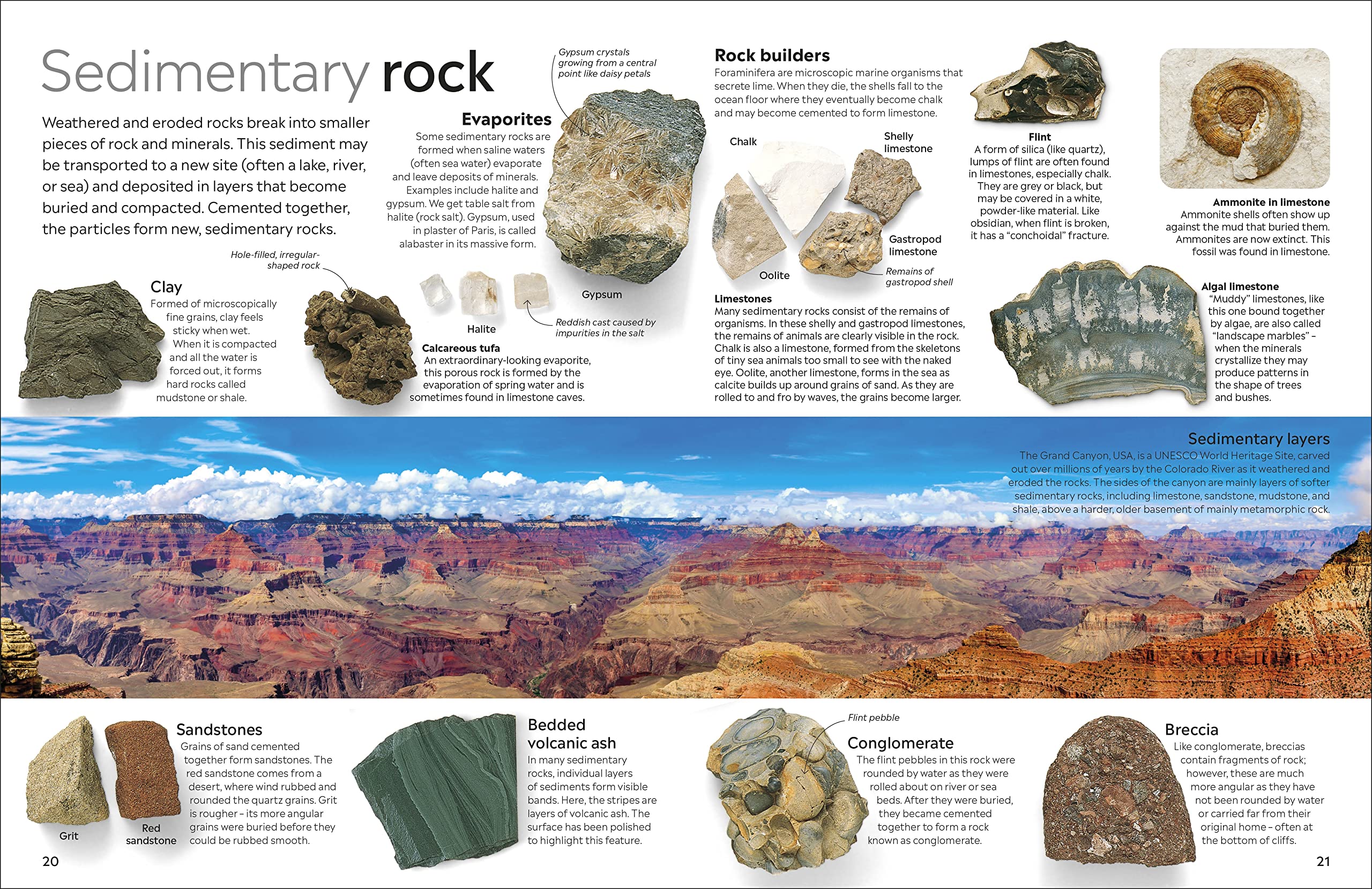 Rock And Mineral - Ảnh 3