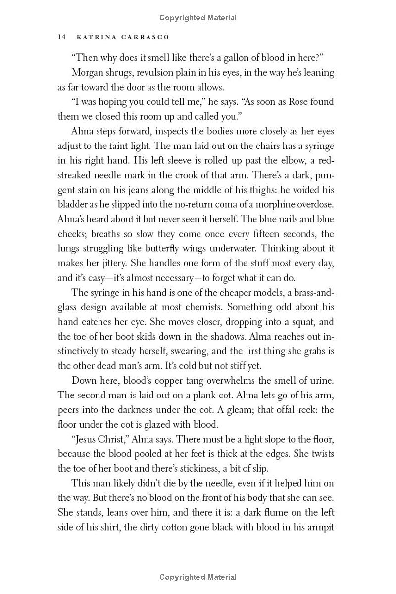 rough trade - a novel - Ảnh 13