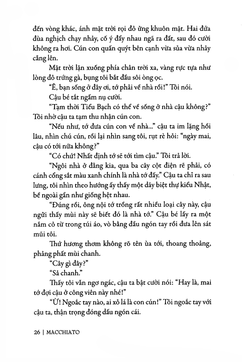 sả chanh mùa hạ - Ảnh 9