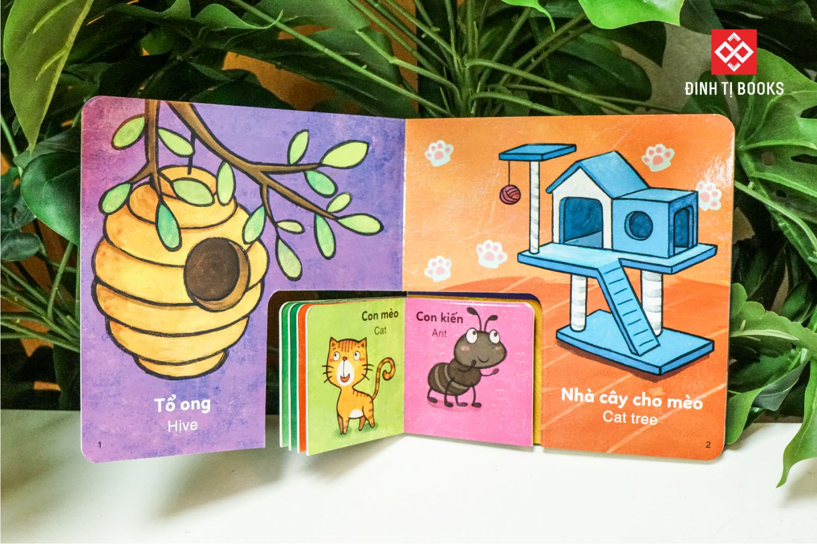 sách to ôm sách nhỏ - nhà của ai đây nhỉ? - Ảnh 3