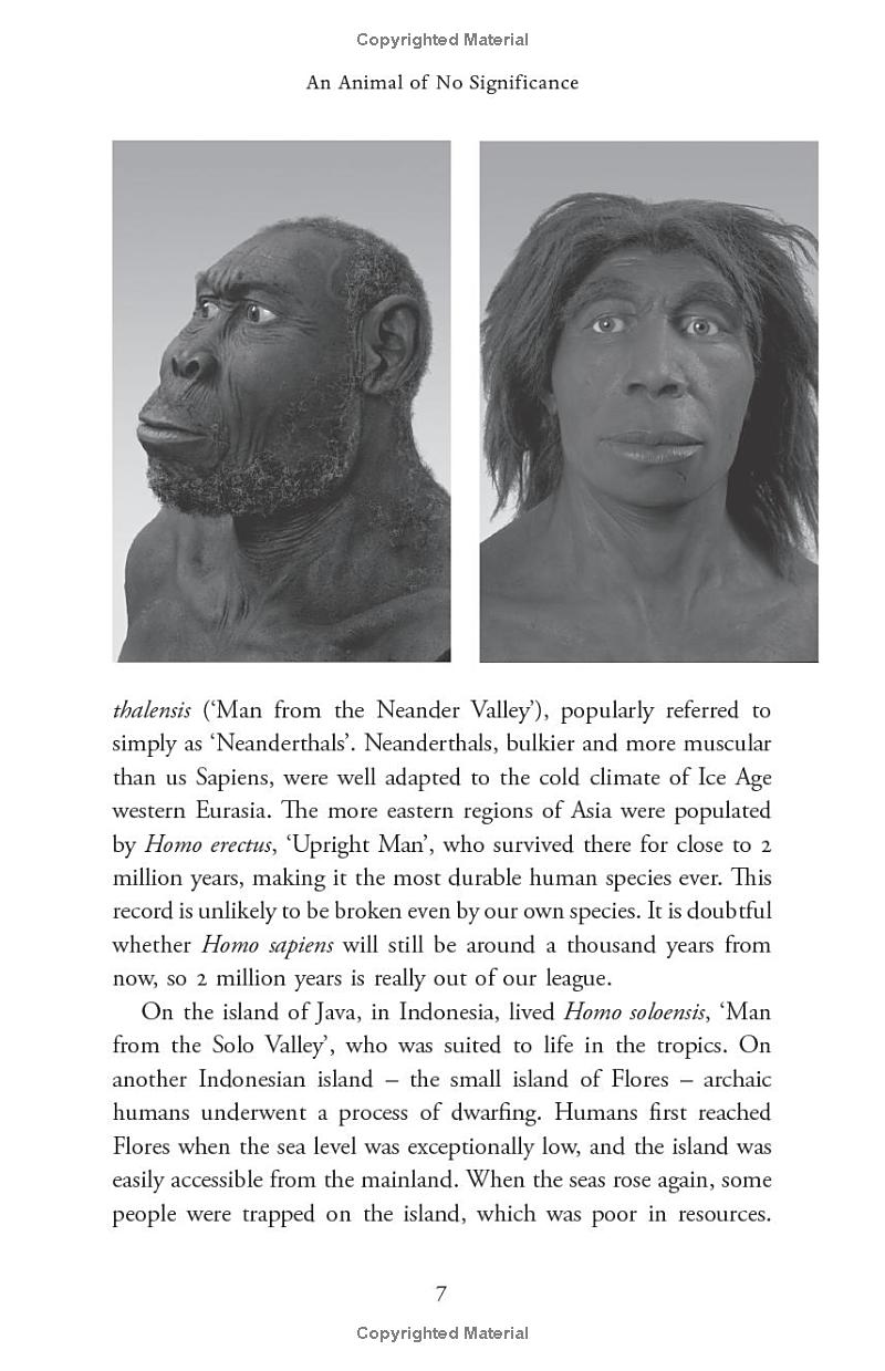 sapiens - a brief history of humankind (10 year anniversary edition) - Ảnh 14