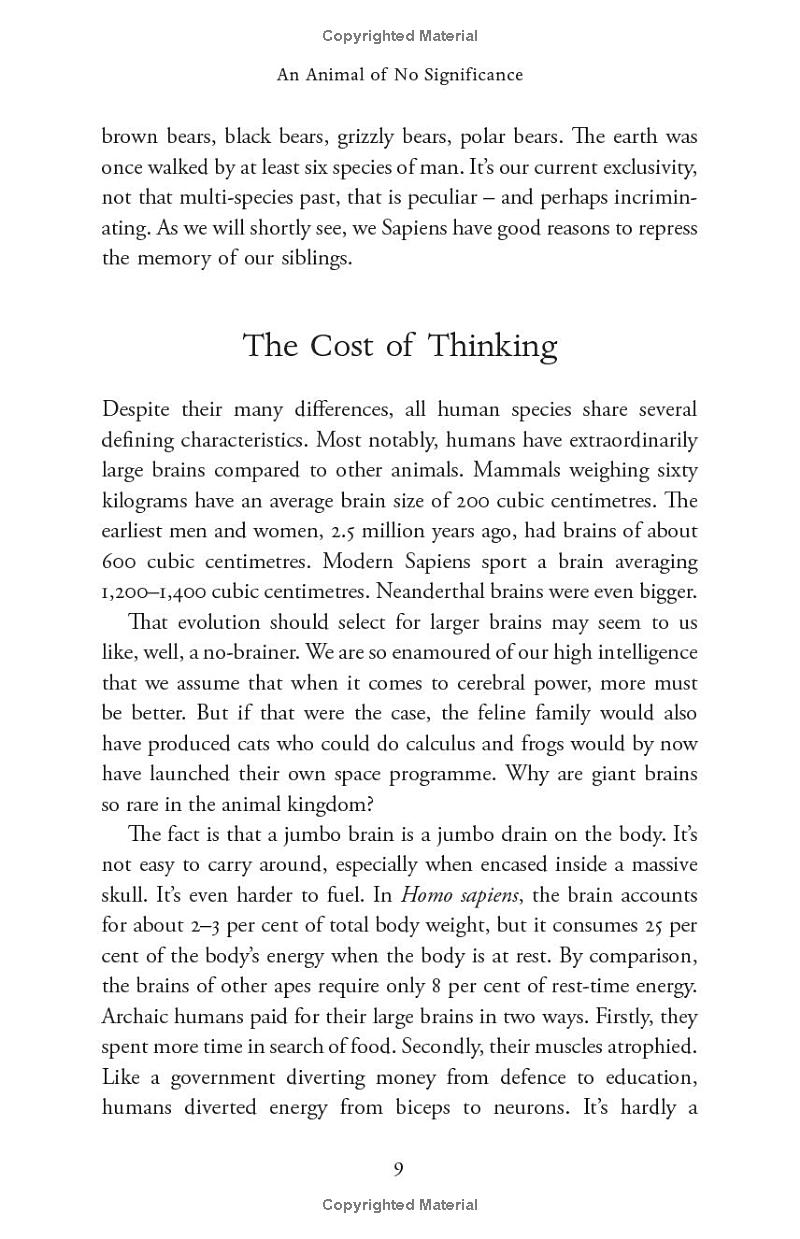 sapiens - a brief history of humankind (10 year anniversary edition) - Ảnh 19