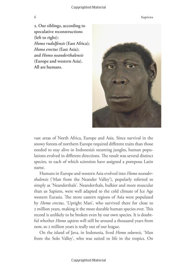 sapiens: a brief history of humankind: (patterns of life) - Ảnh 9
