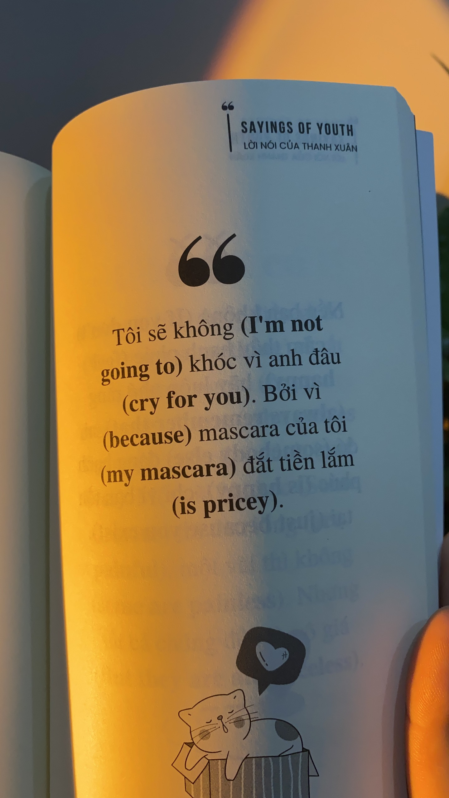sayings of youth - lời nói của thanh xuân - Ảnh 8