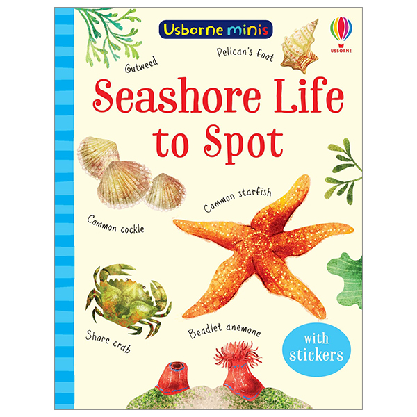 seashore life to spot