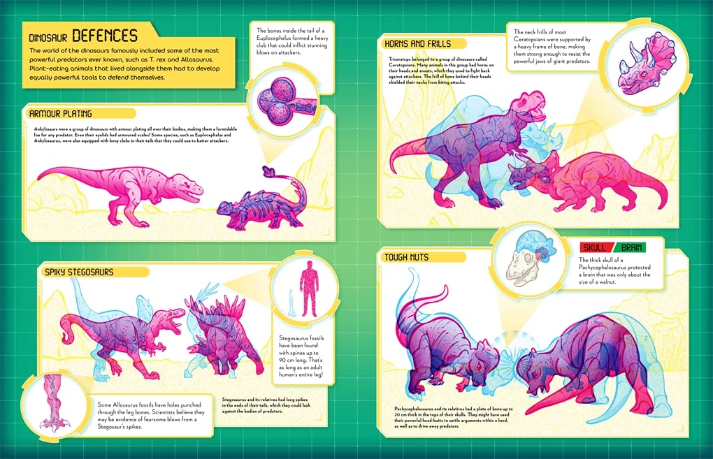 secrets of the dinosaurs - Ảnh 6
