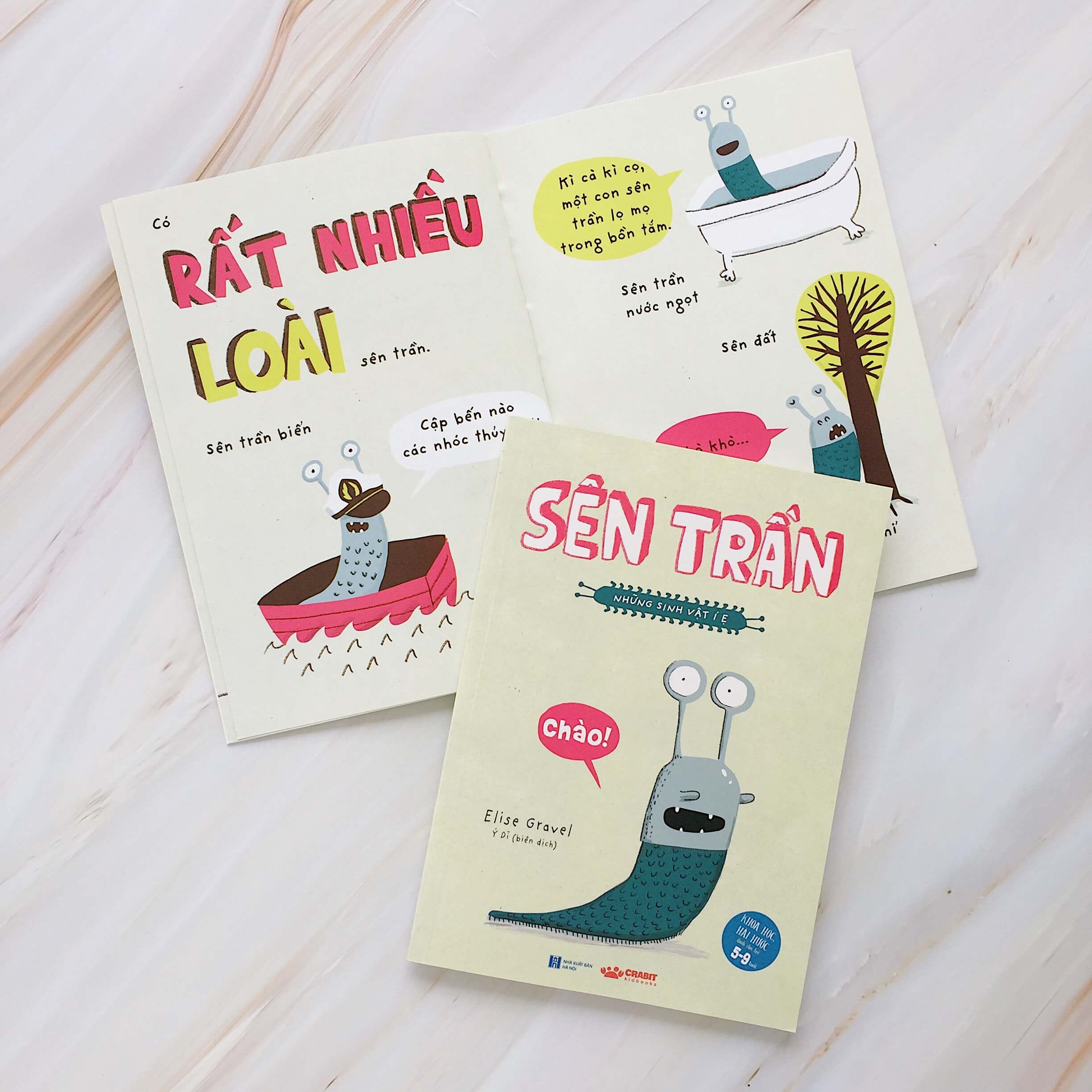 sên trần - những sinh vật í ẹ (từ 5 đến 9 tuổi) - Ảnh 2