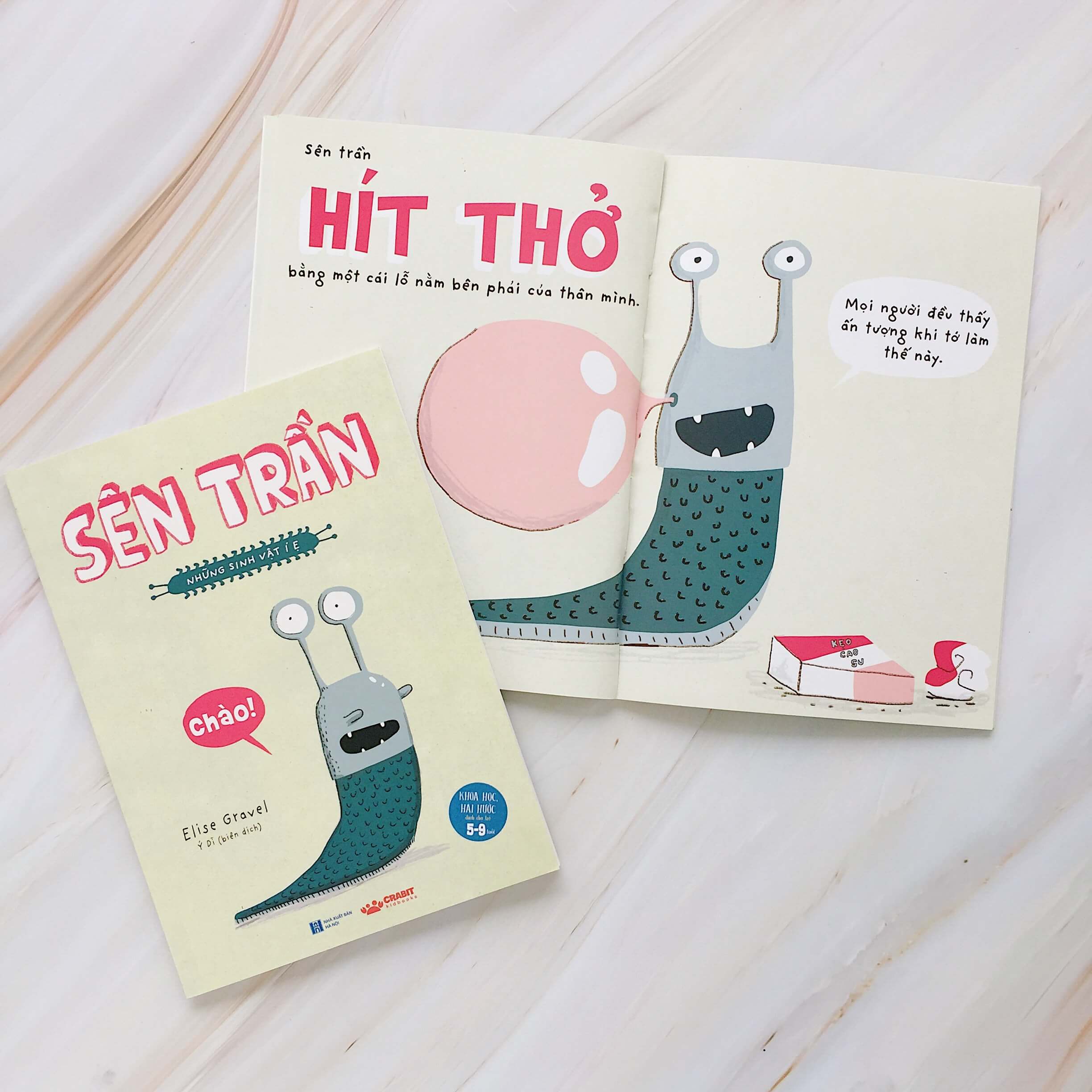 sên trần - những sinh vật í ẹ (từ 5 đến 9 tuổi) - Ảnh 3