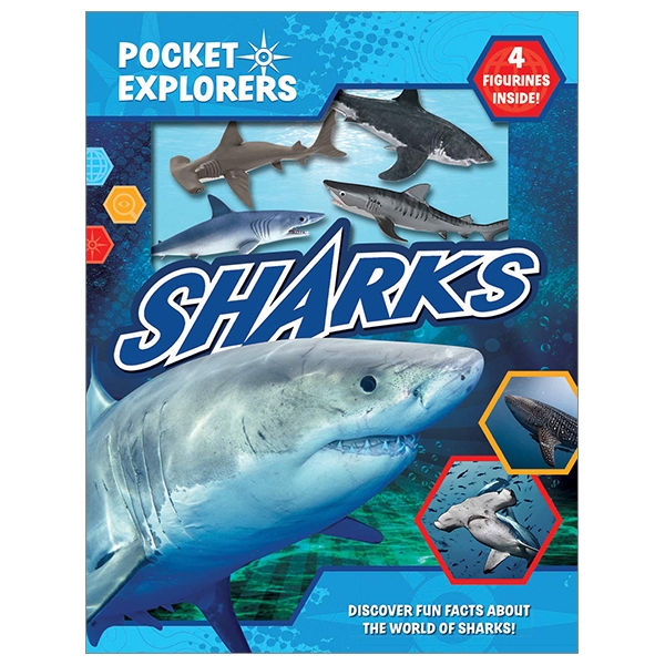 sharks pocket explorers