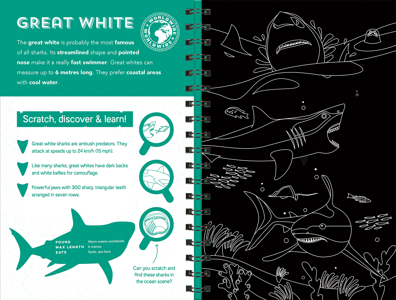 sharks (scratch discover & learn) - Ảnh 4