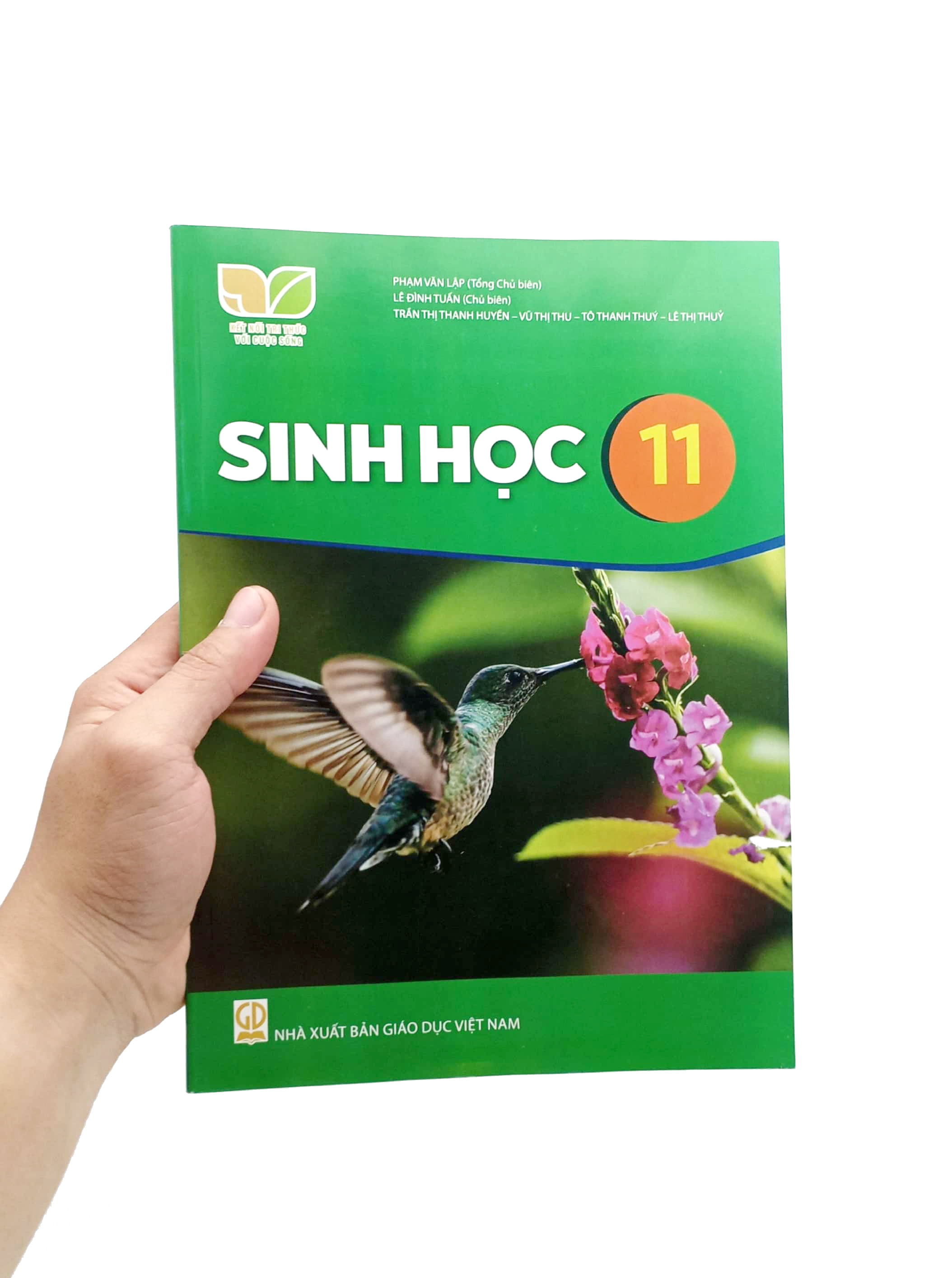 sinh học 11 (kết nối tri thức) (chuẩn) - Ảnh 7