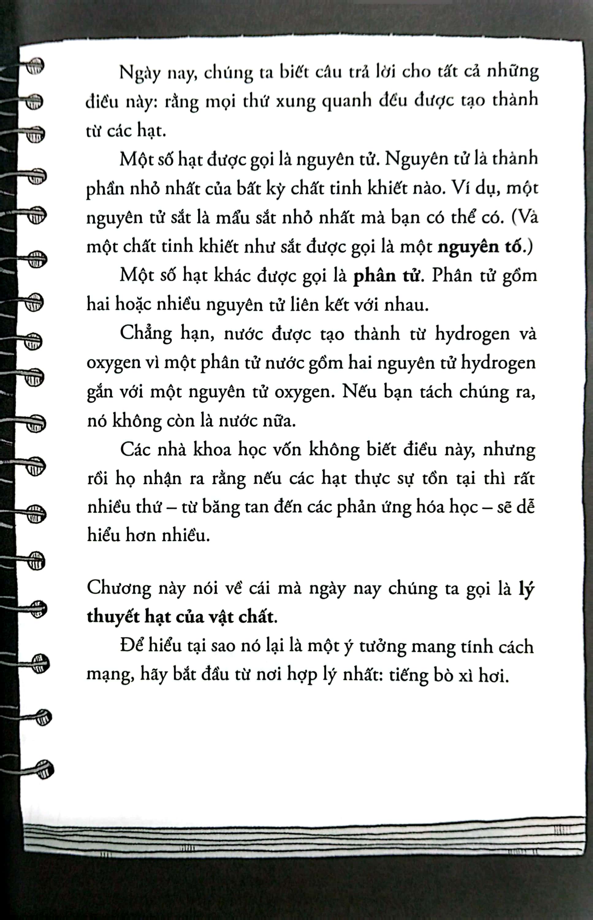 sợ gì môn lý - từ ba định luật newton đến những chú ếch bay - Ảnh 6