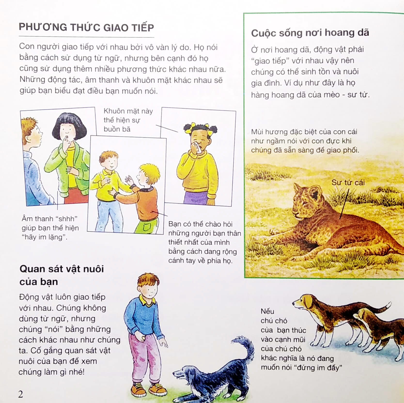 sổ tay khoa học bỏ túi - Ảnh 5