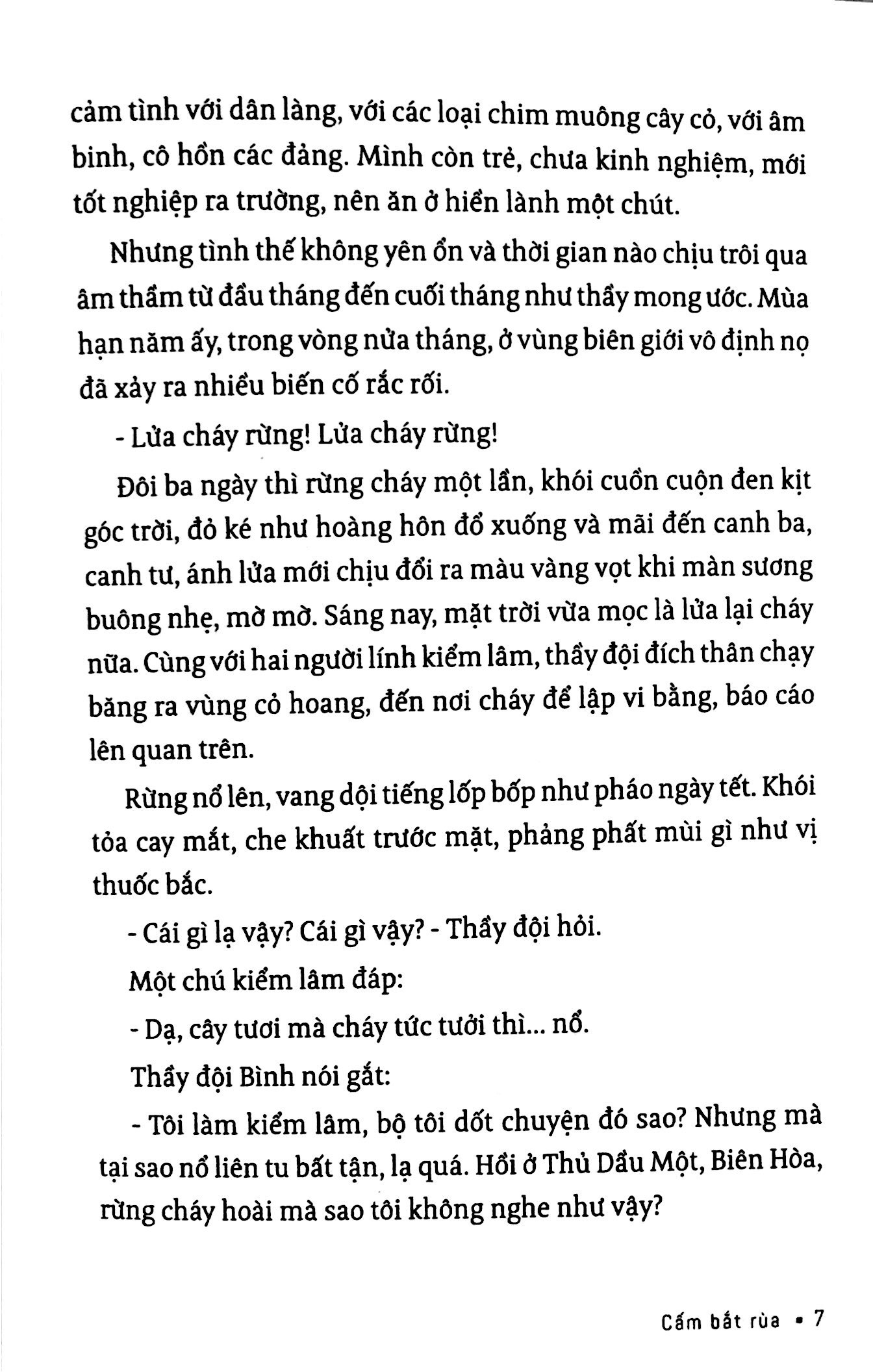 sơn nam - biển cỏ miền tây - mùa len trâu và các truyện khác - Ảnh 3