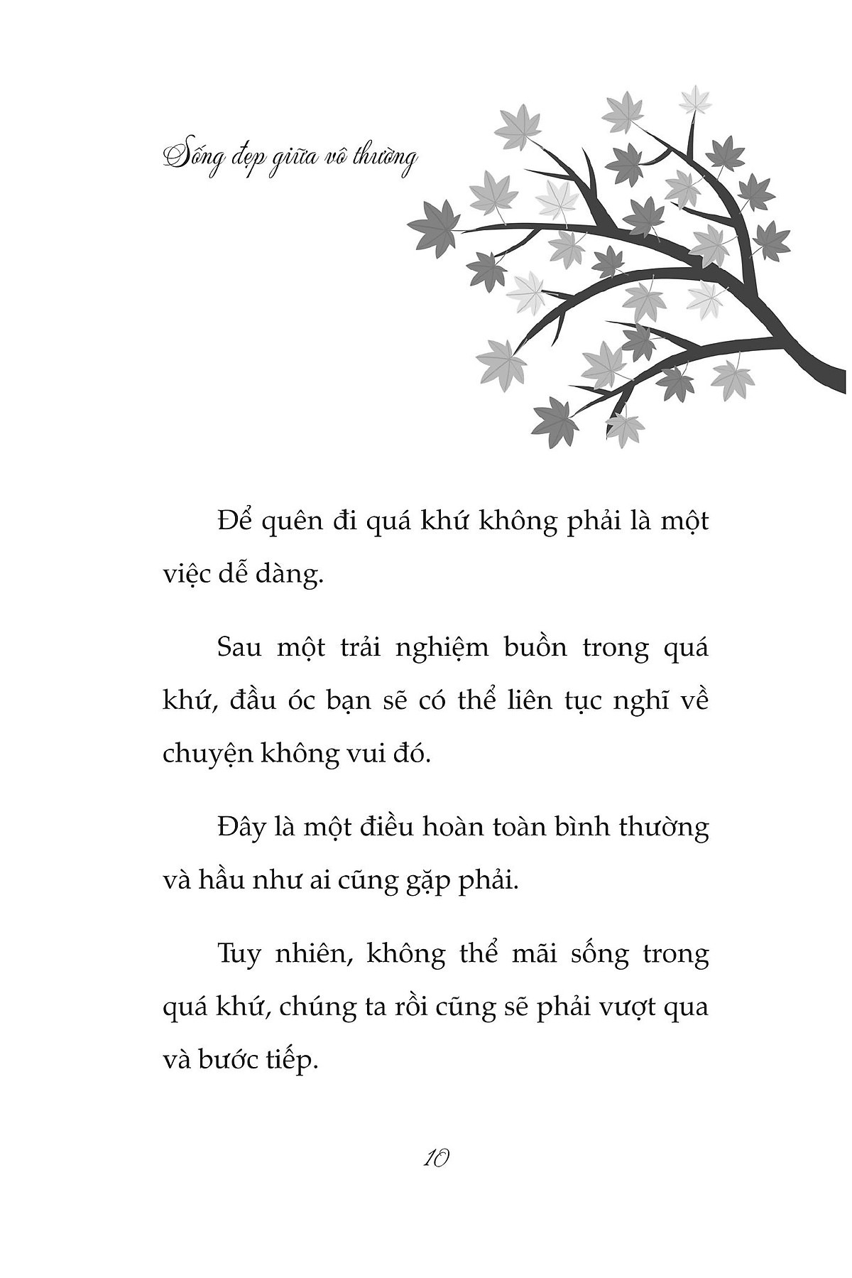 sống đẹp giữa vô thường - học cách yêu để không hối tiếc - Ảnh 7