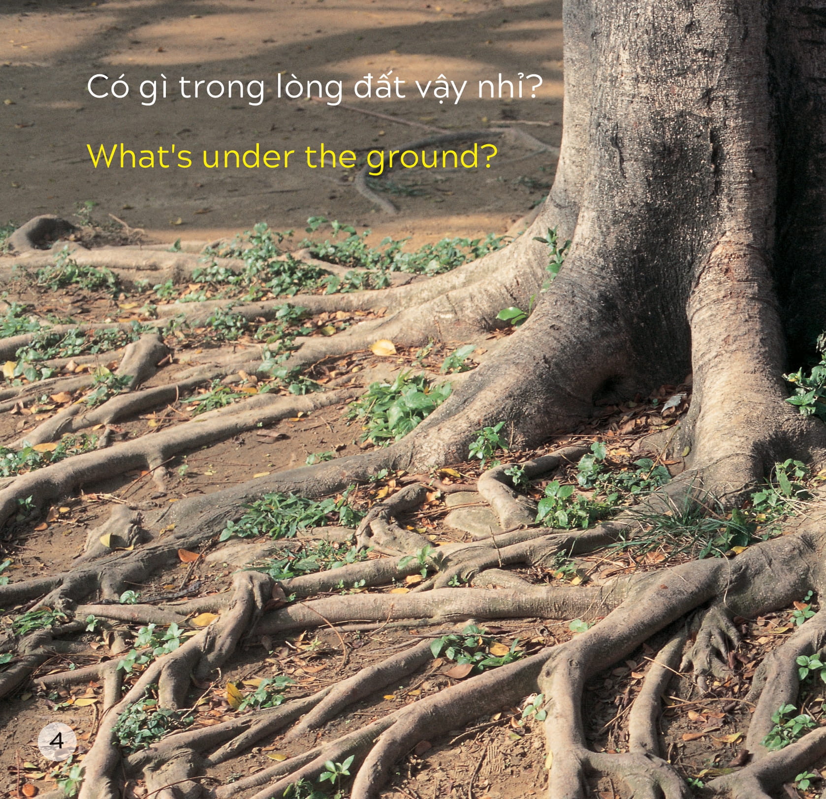 song ngữ việt anh - khám phá thế giới - trong lòng đất - under the ground - Ảnh 5