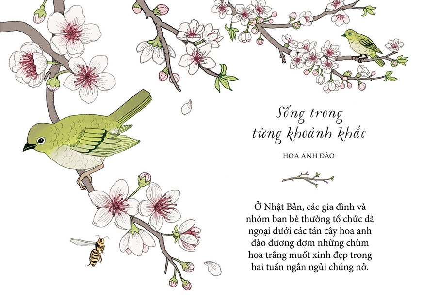 sống như những cái cây - những bài học nhỏ để có nguồn hạnh phúc bất tận (tái bản 2021) - Ảnh 12