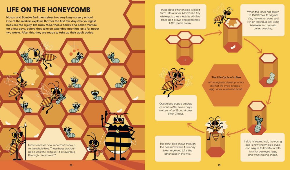 stemville - the bee connection - Ảnh 5