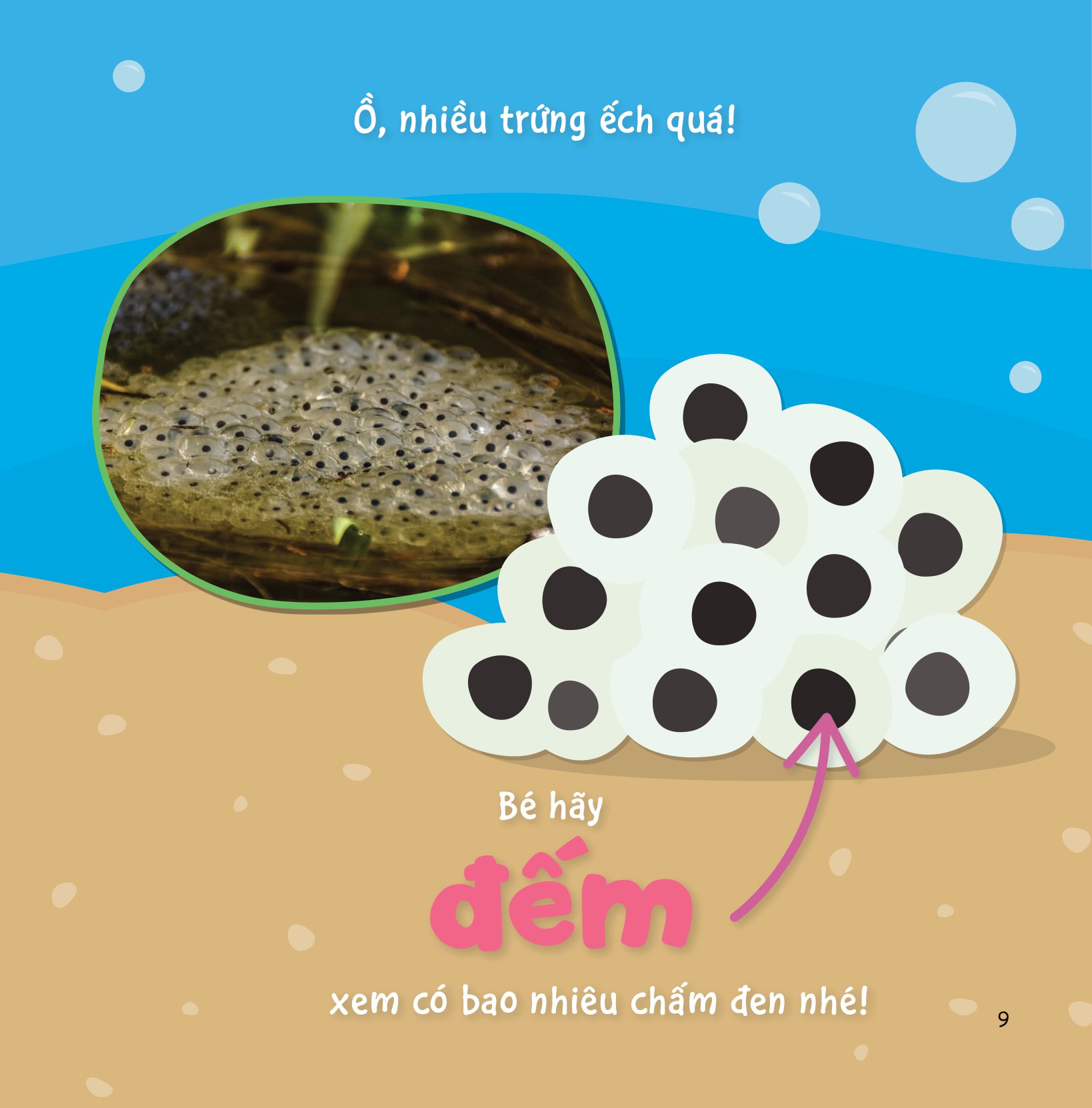 sự sinh trưởng kỳ diệu của vạn vật - vòng đời của ếch - Ảnh 8