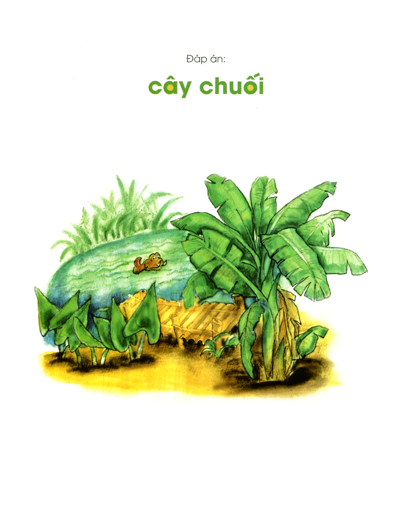 sừng sửng mà đứng giữa đường - Ảnh 5