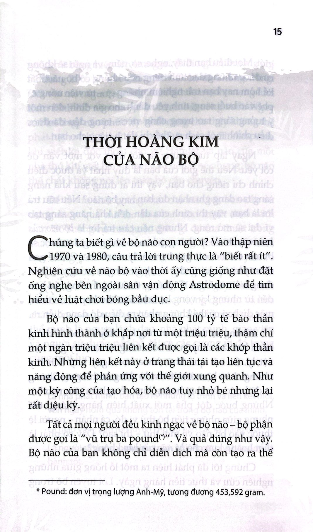 super brain - bộ não siêu phàm (tái bản 2025) - Ảnh 6