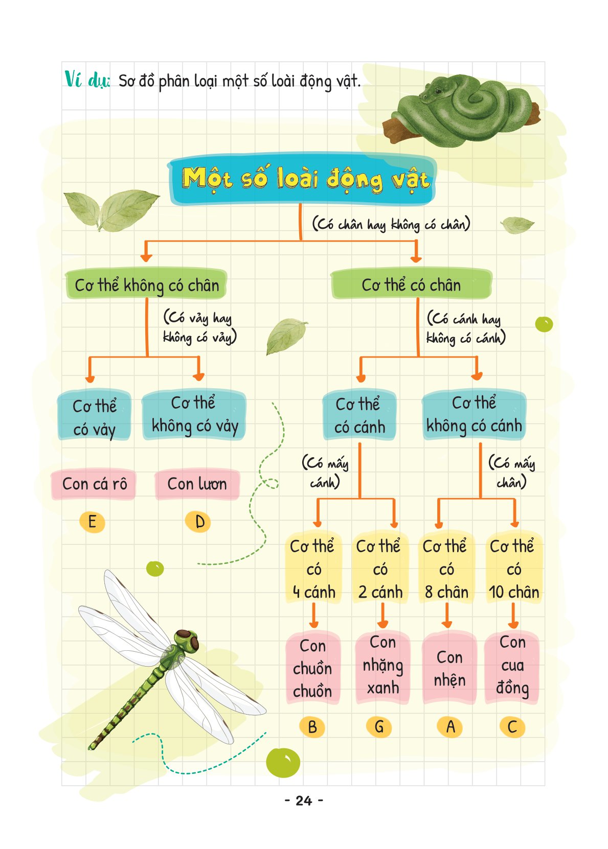takenote khoa học tự nhiên lý-hóa-sinh 6 - Ảnh 26