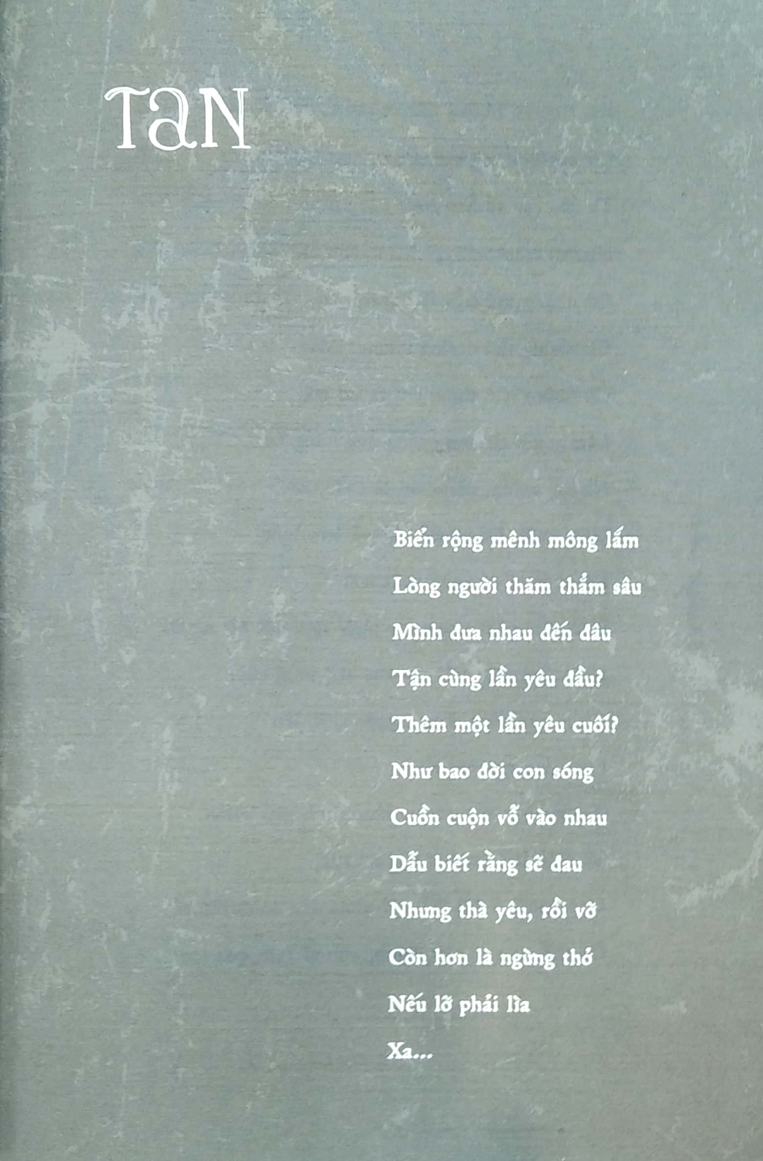 tan - lê ngọc - Ảnh 5