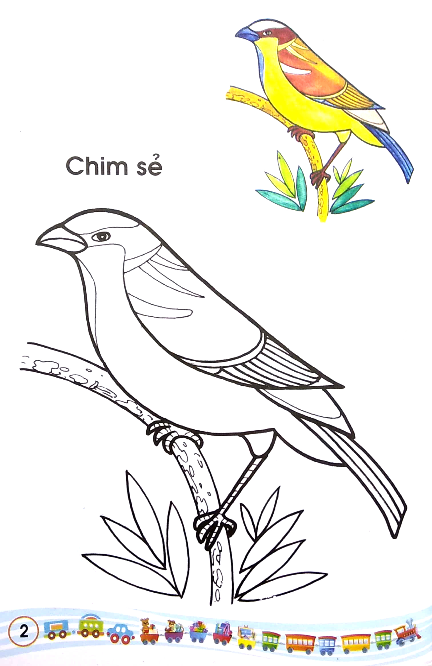 tập tô màu - các loài chim - Ảnh 3