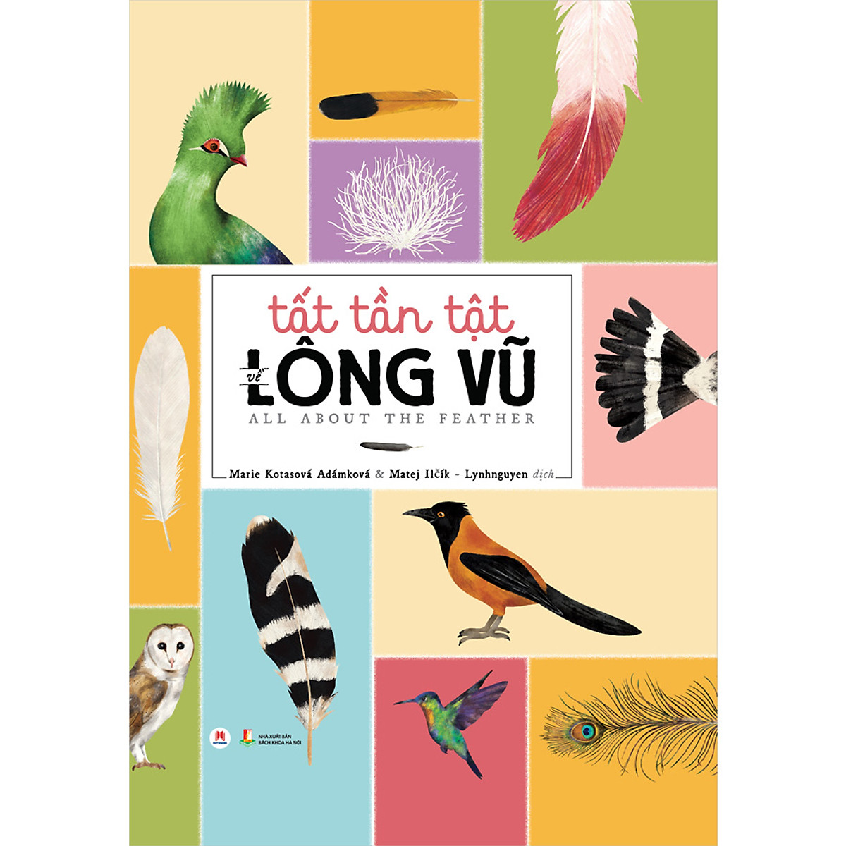 tất tần tật về lông vũ - Ảnh 2