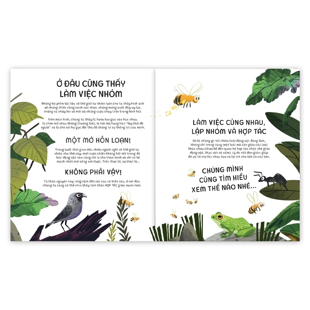 teamwork làm việc nhóm - bài học từ vương quốc động vật - Ảnh 4