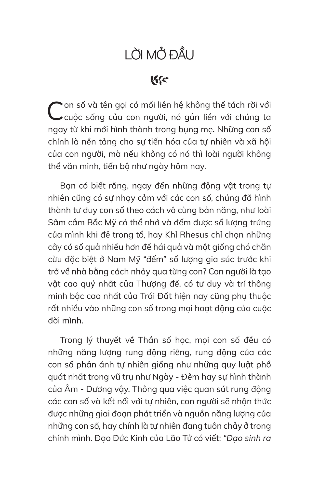 thần số học chữa lành - Ảnh 4