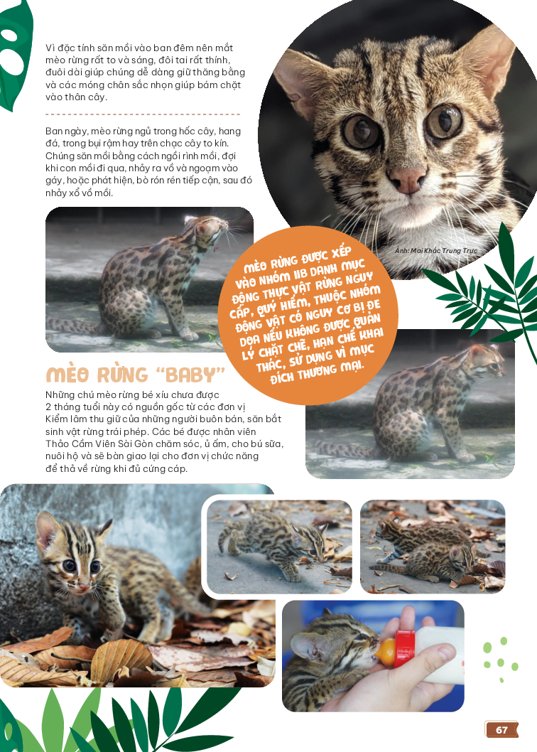 thảo cầm viên sài gòn - kho báu trong lòng thành phố - Ảnh 12