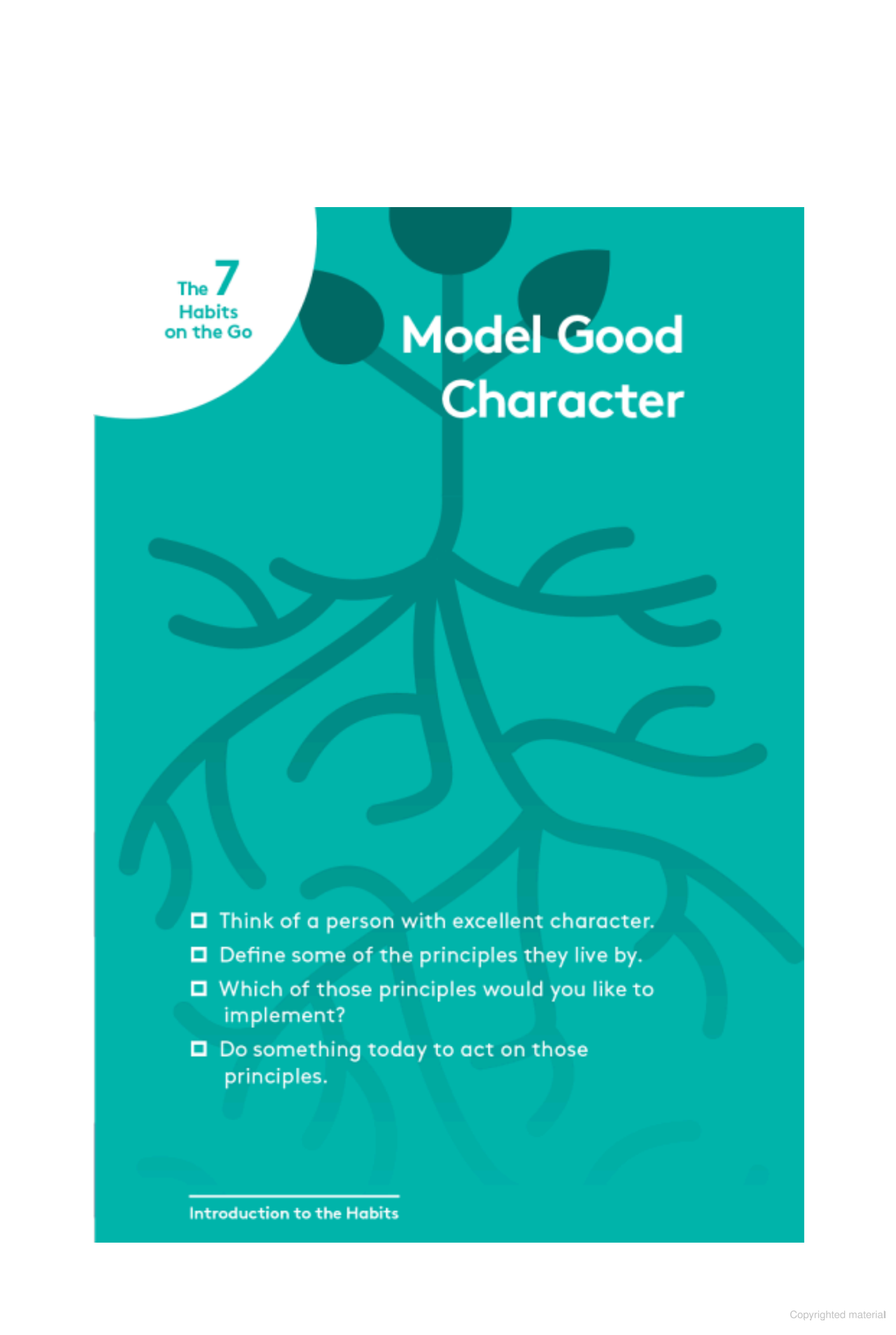 the 7 habits on the go: timeless wisdom for a rapidly changing world - Ảnh 6