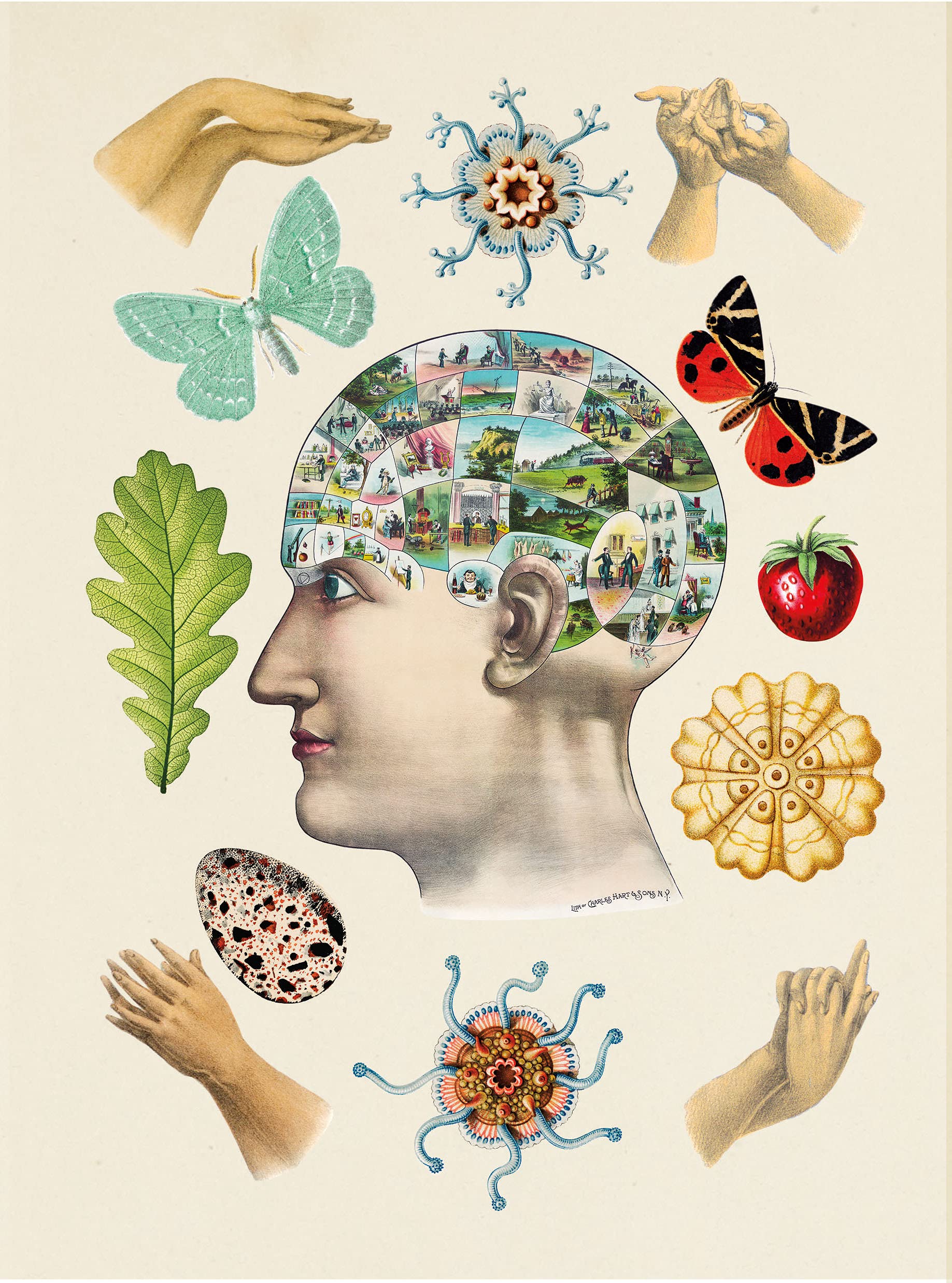 the antiquarian sticker book: over 1,000 exquisite victorian stickers - Ảnh 7