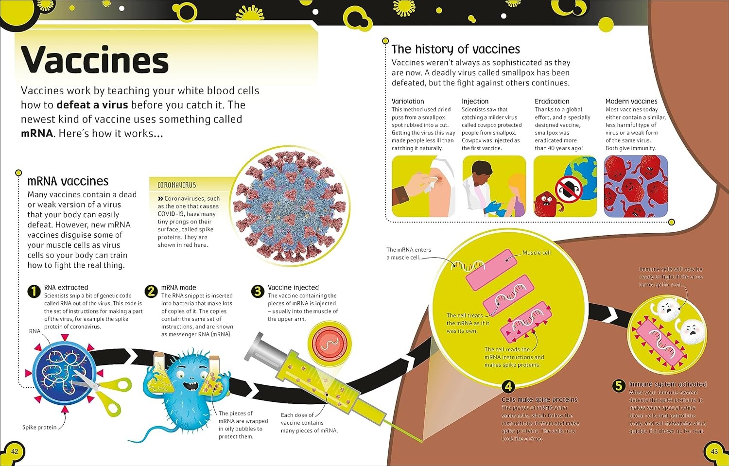 the bacteria book (new edition) - Ảnh 6