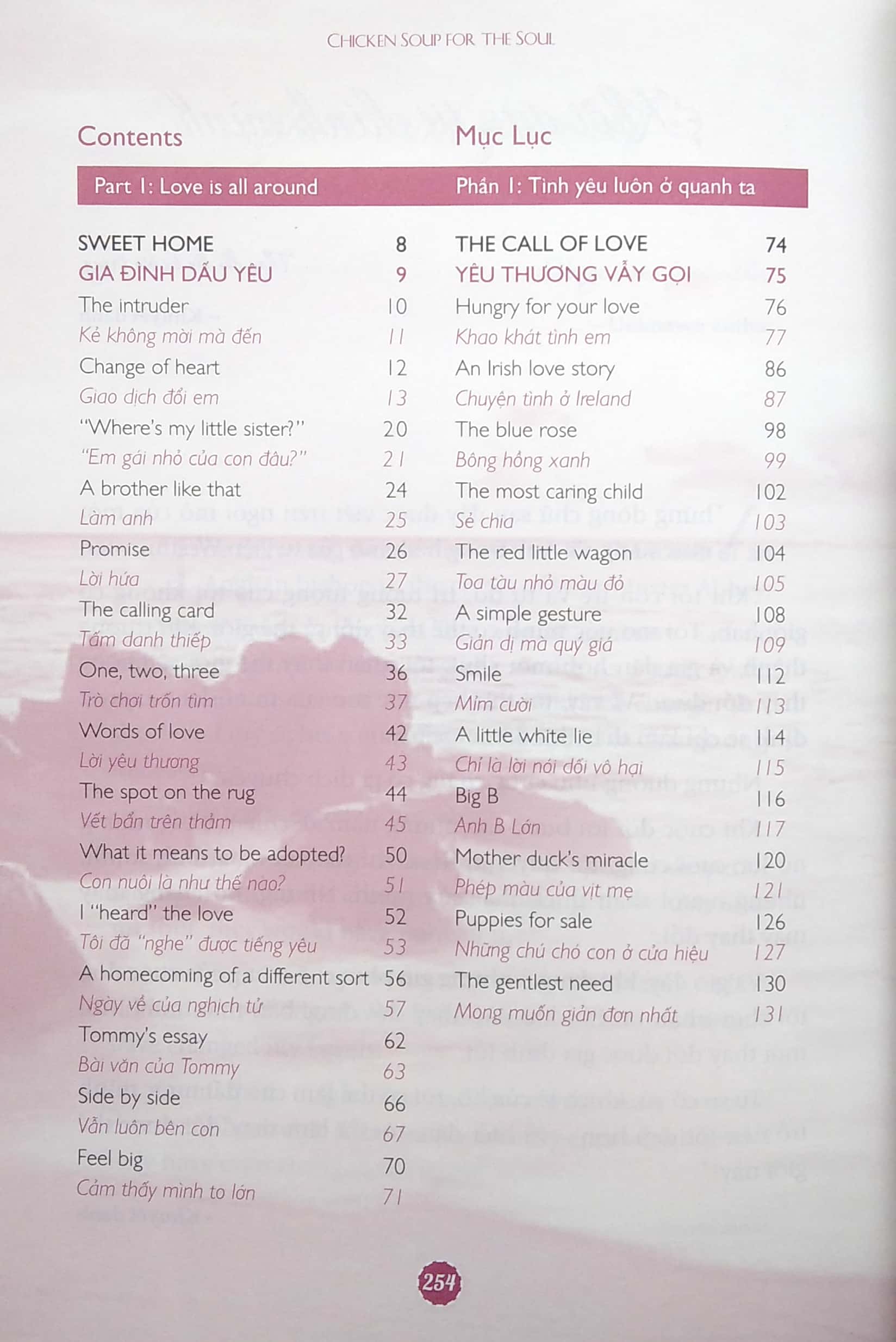 the best of chicken soup for the soul - tuyển tập những câu chuyện hay nhất (song ngữ anh việt) - Ảnh 3