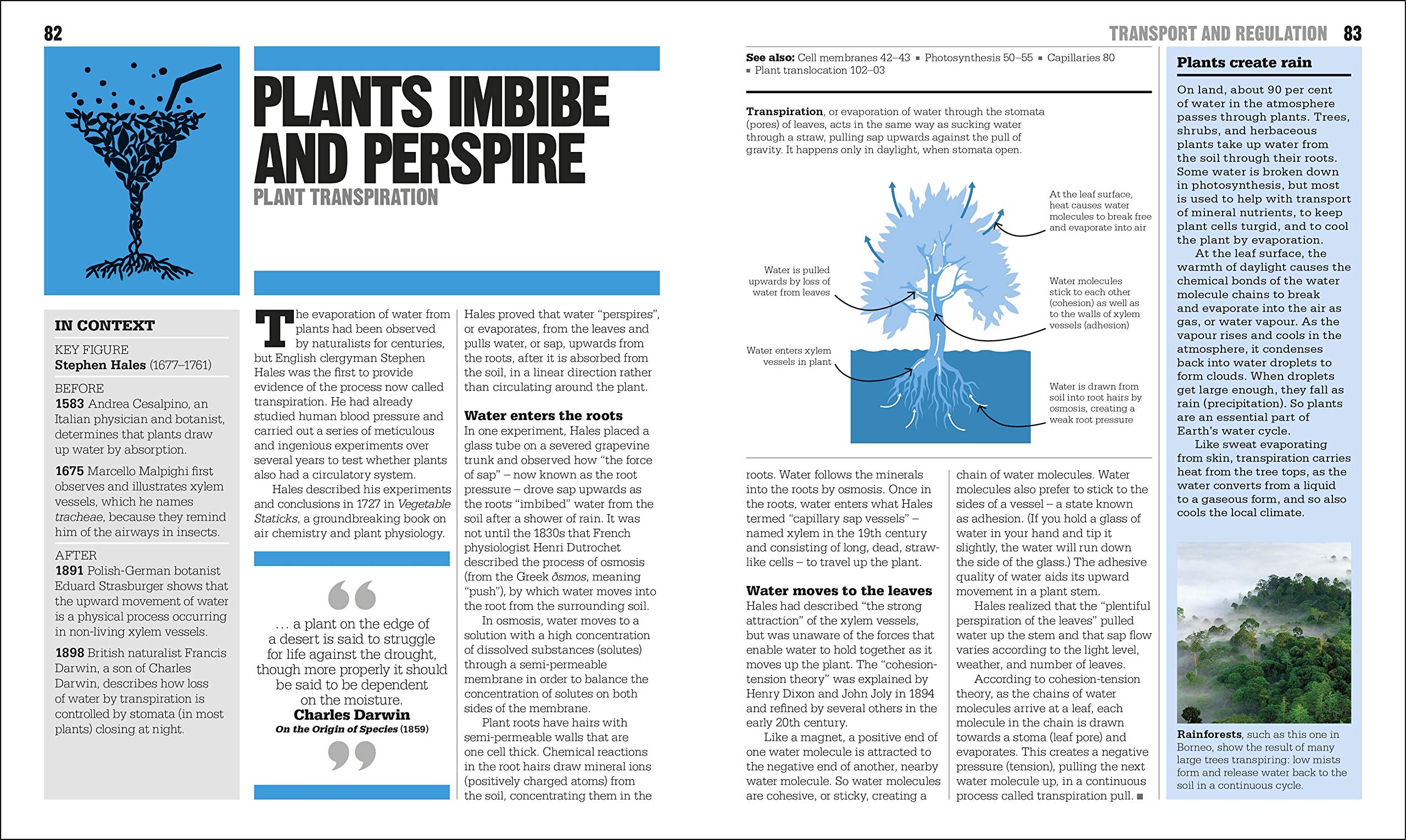 the biology book: big ideas simply explained - Ảnh 8