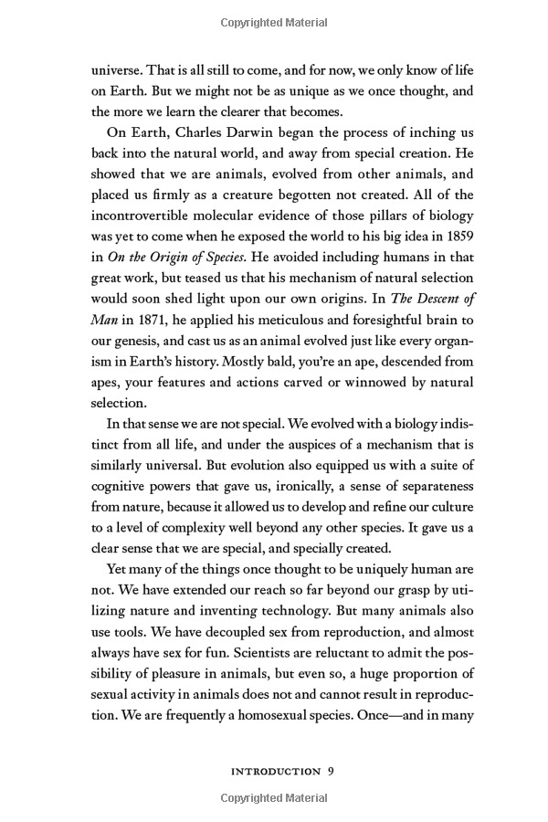 the book of humans: a brief history of culture, sex, war and the evolution of us - Ảnh 13