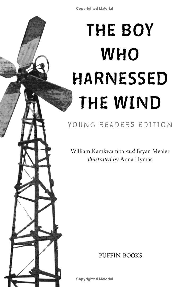 the boy who harnessed the wind - Ảnh 3