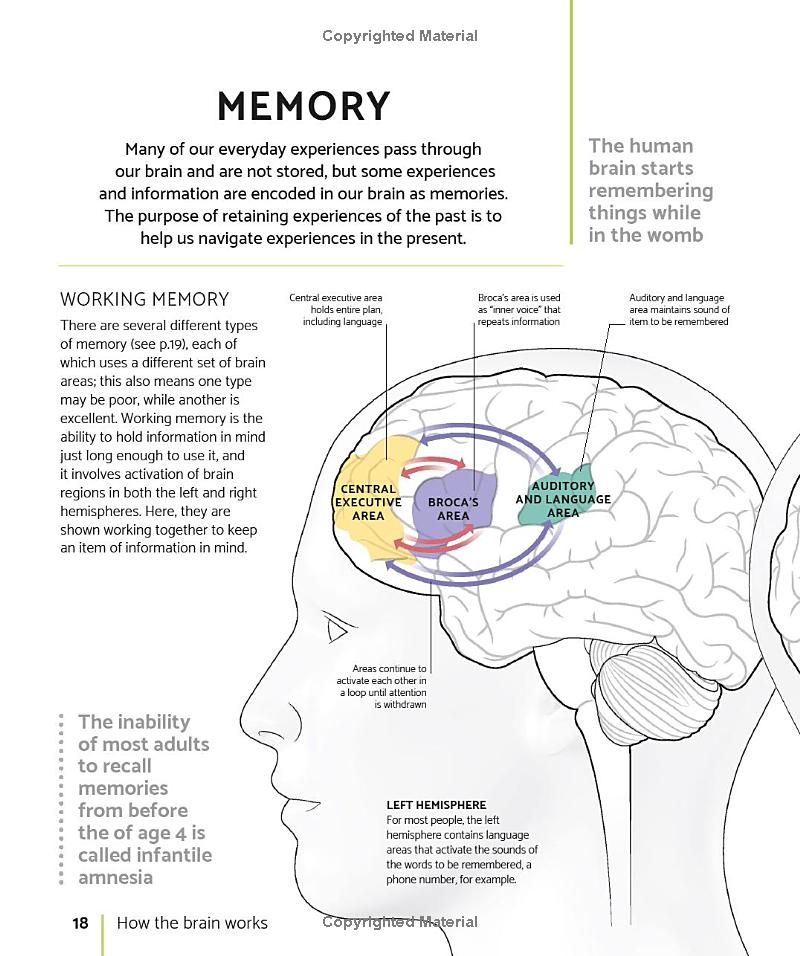 the brain fitness book: activities and puzzles to keep your mind active and healthy - Ảnh 9