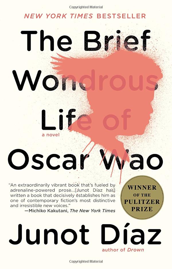 the brief wondrous life of oscar wao - Ảnh 3