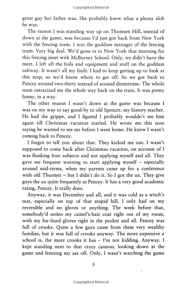 the catcher in the rye - Ảnh 5