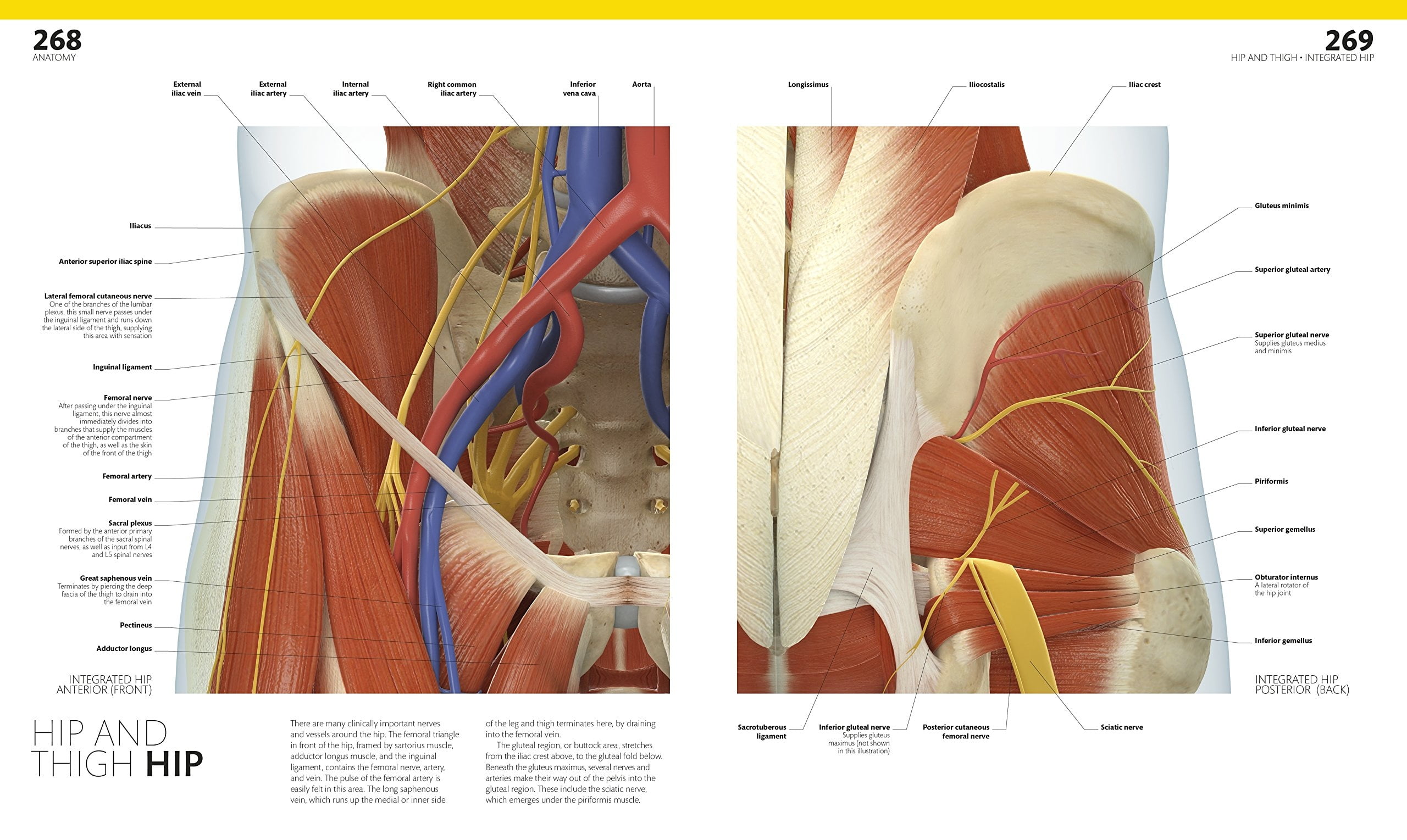 The Complete Human Body - Ảnh 5