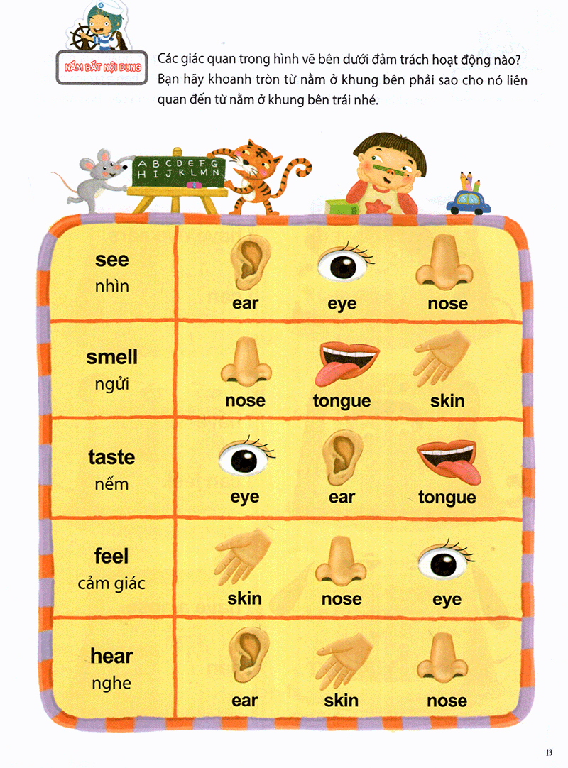 the five senses - năm giác quan -trình độ 1 (tập 5) - Ảnh 15