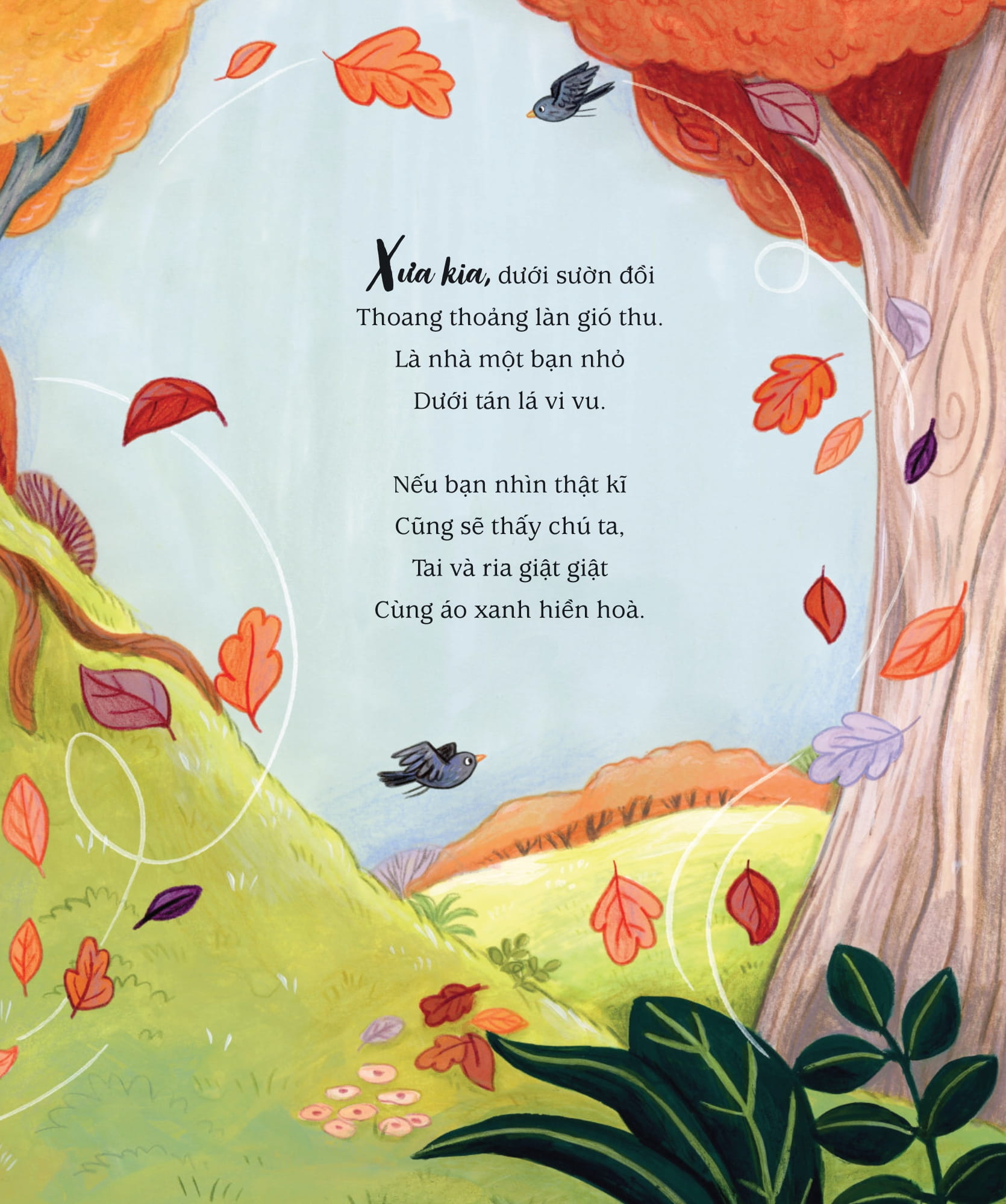 Thế Giới Của Thỏ Peter - Trò Chơi Trốn Tìm - Ảnh 5