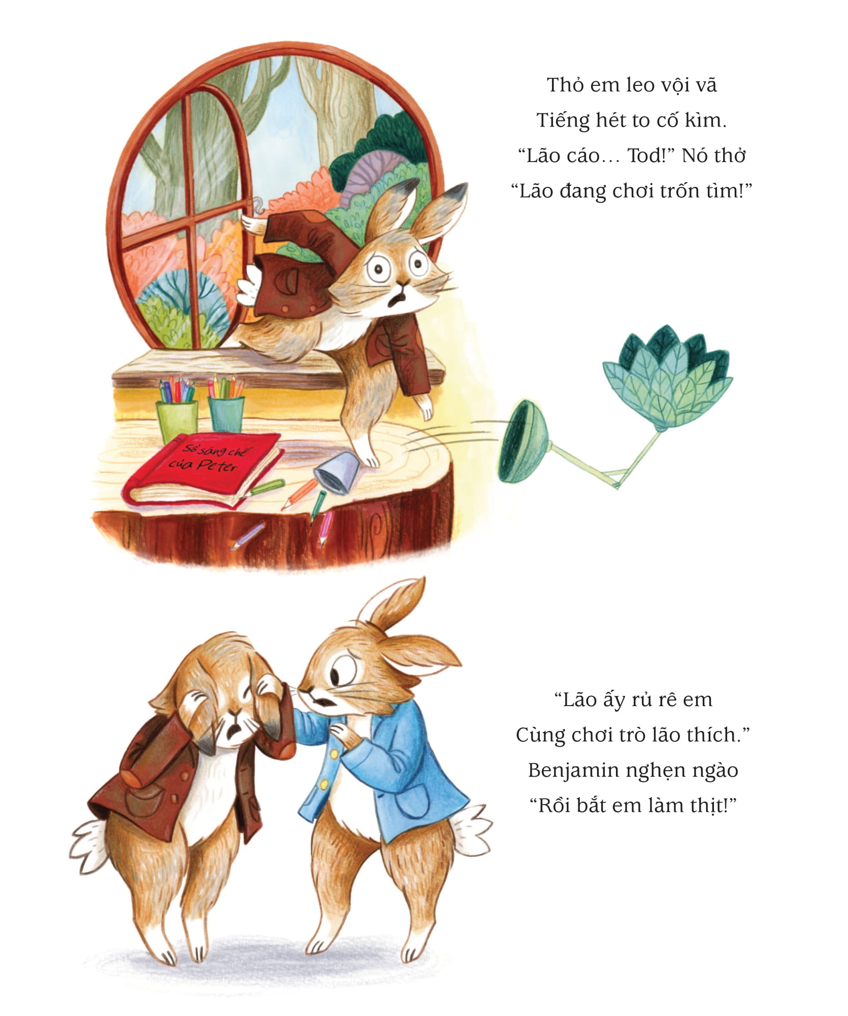 Thế Giới Của Thỏ Peter - Trò Chơi Trốn Tìm - Ảnh 8