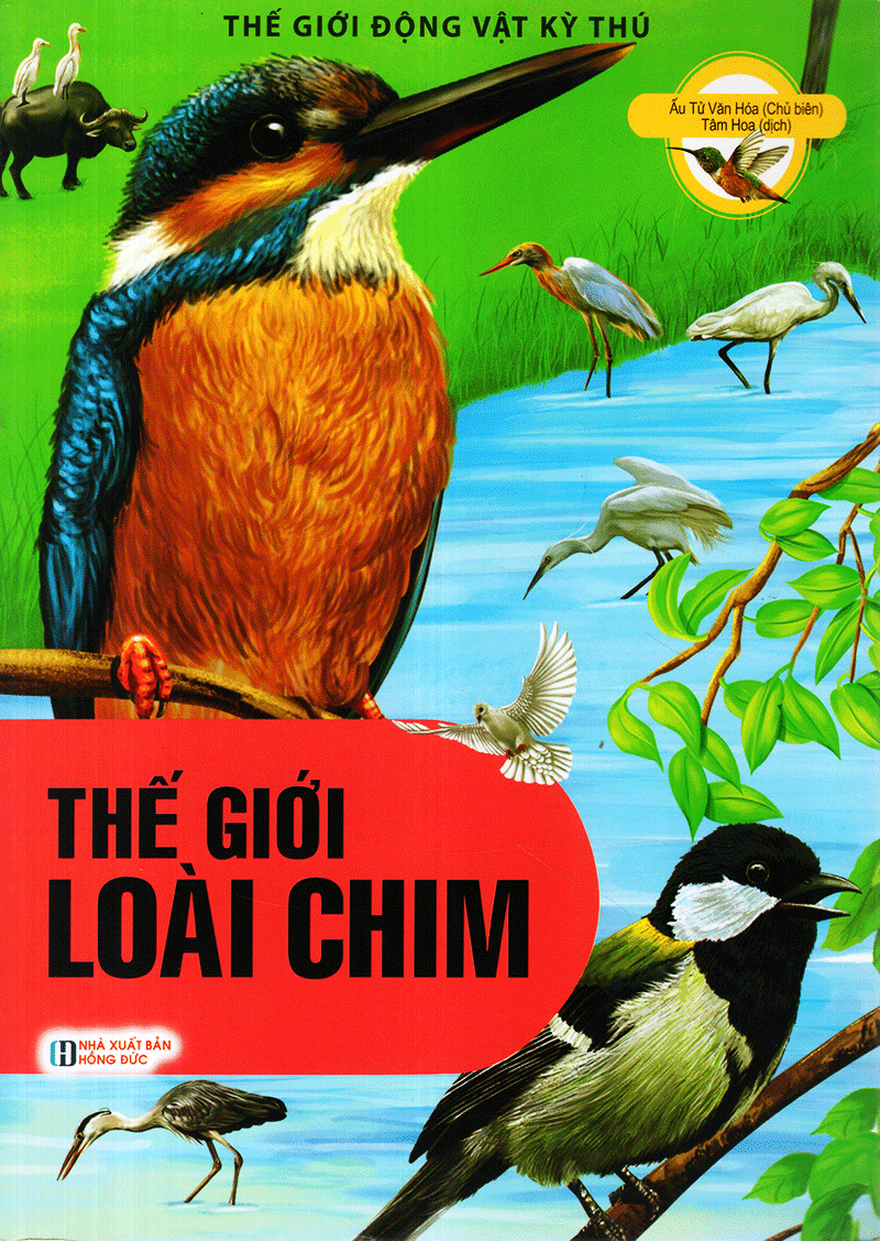 thế giới động vật kì thú - thế giới loài chim - Ảnh 2