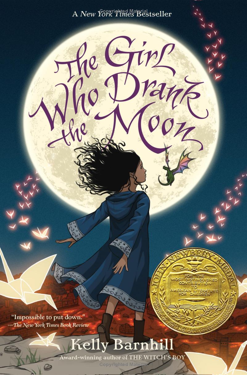 the girl who drank the moon - Ảnh 2