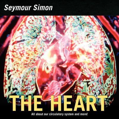 the heart: our circulatory system - Ảnh 2